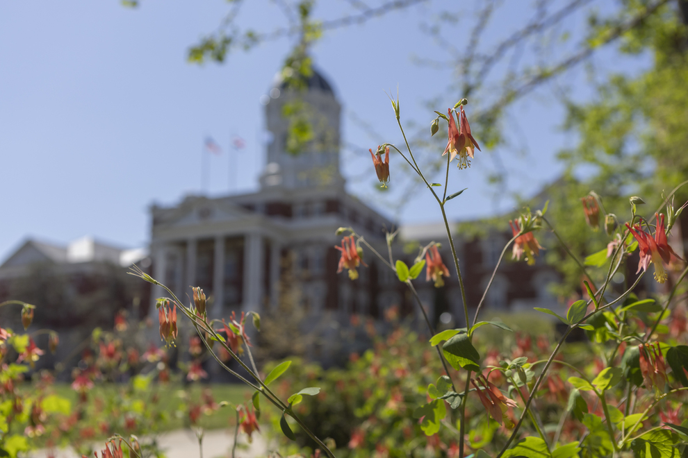 Red and orange flowers in focus with a blurry, grand building in the background. The sunny scene conveys a sense of springtime and tranquility.