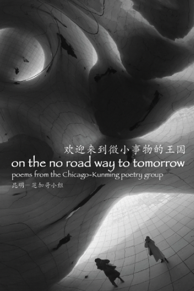 Photo of book cover