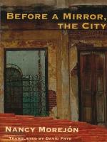 Before a Mirror: The City