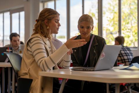 Two people chatting over a computer