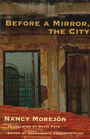 Before a Mirror: The City
