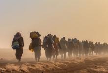 A line of people carrying bags walks along a dusty path under a hazy, golden sky, conveying a sense of journey and perseverance in challenging conditions.
